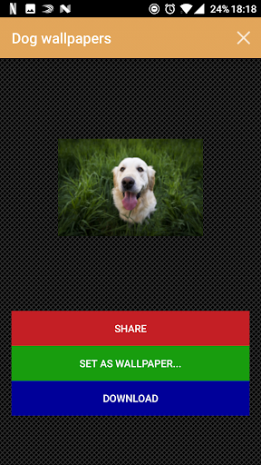 Dog wallpapers and funny pics Screen 3