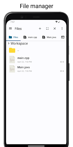 Screenshot of Code Editor
