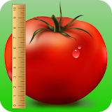 Food Calorie Counter icon