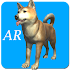 Dog AR1.6