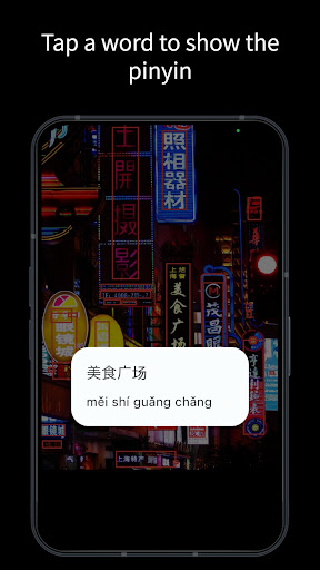Pinyin Scanner Screen 3