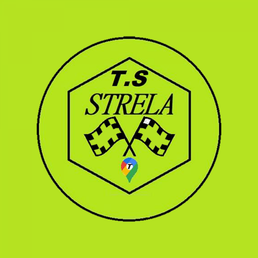 STRELA logo