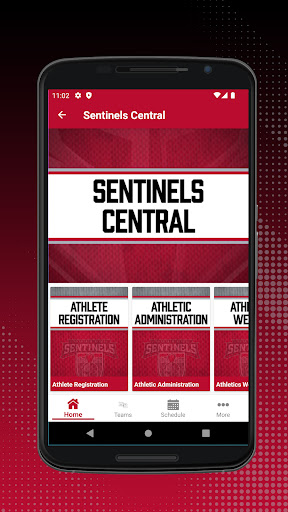 Mountain Ridge Sentinels