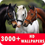 Horse Live Wallpapers HD icon