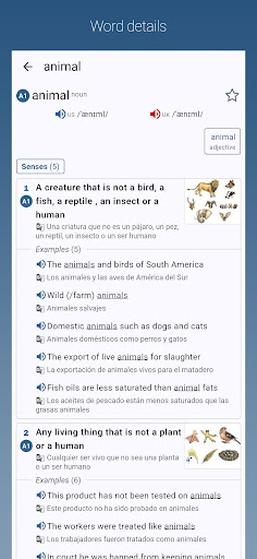 English-Spanish Dictionary Pro