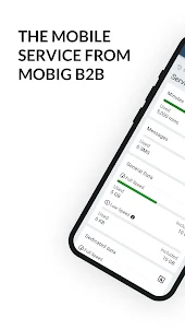 moBig B2B