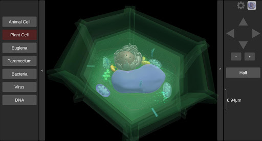 3D Virtual Cell Screen 3
