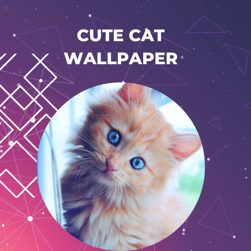 Cute Cat White Art Wallpapers - Cute Cat Wallpapers for iPhone 4k