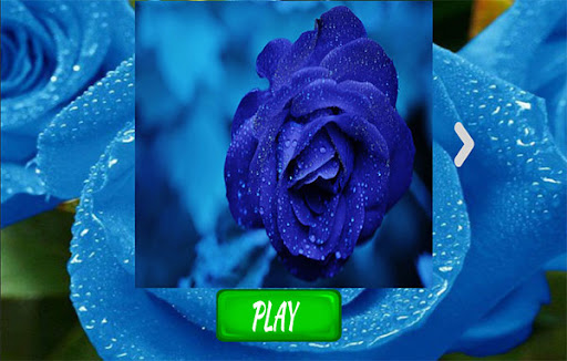 Android application flowers puzzele game screenshort