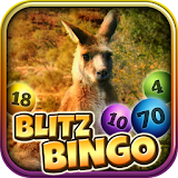 Dingo Bingo icon