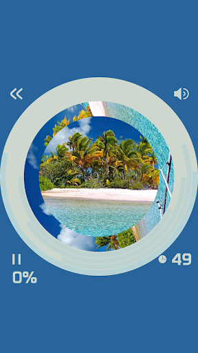 Pictu-Ring The Circle Puzzle Screen 3