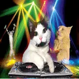 Dj Disco Cat Video Music Clock icon
