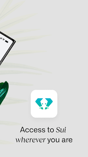 Elli - Sui Wallet Screen 3