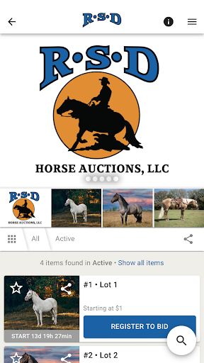 RSD Horse Auctions Screen 2
