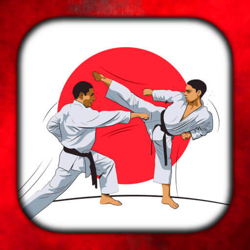 Karate Live Wallpaper logo