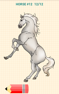 How to Draw Horses 6
