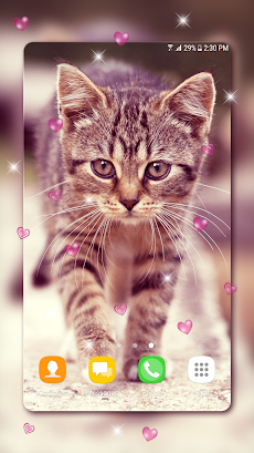 ライブ壁紙 無料 かわいい 子猫 Androidアプリ Applion