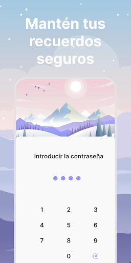 Vista previa de la aplicación