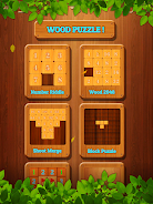 Wood Block Puzzle:Number Merge Screenshot