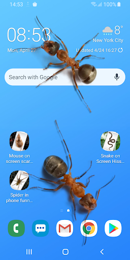 Android application Ants on Screen Funny Joke screenshort