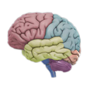 3D Brain app icon