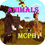 Cover Image of Download Animals for Minecraft PE  APK