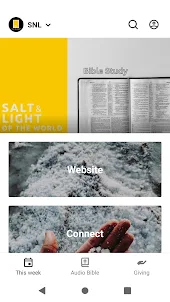 salt and light US