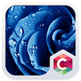 Blue Rose CLauncher Theme icon