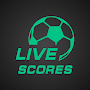 Football News & LiveScores