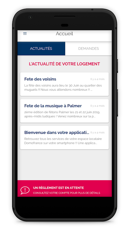 Domofrance Screen 2