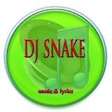 DJ Snake icon