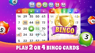 Game screenshot Bingo Lotto: Win Lucky Number mod apk