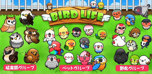 バードライフ 鳥さん育成ゲーム Google Play のアプリ