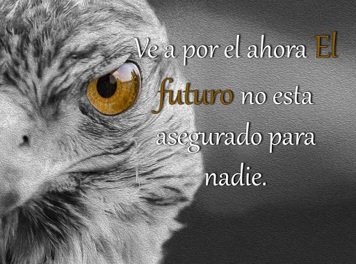 Frases y Reflexiones de la Vid Screen 3