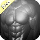 Chest Workout Sessions icon