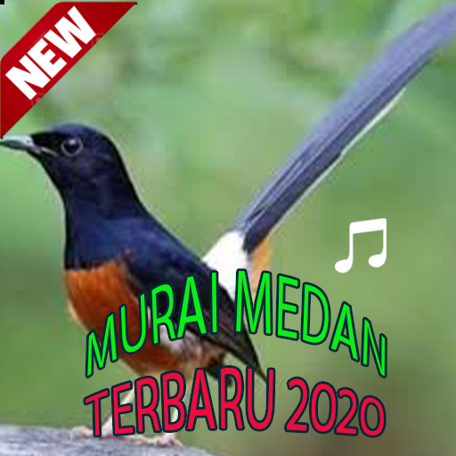 Masteran Murai Medan Bikin Gacor Offline