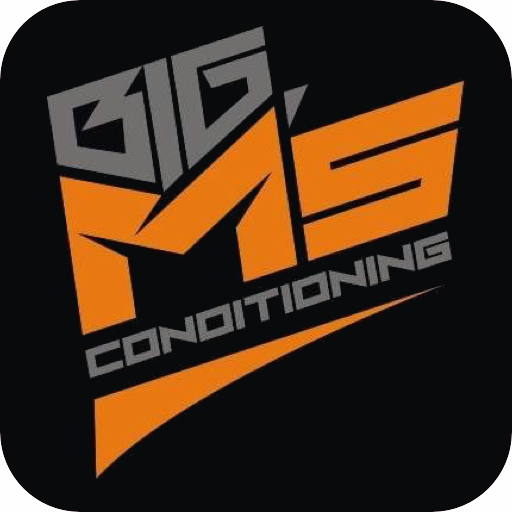 BigMs Conditioning logo
