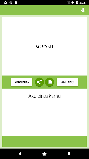 Indonesian-Amharic Translator Screen 2