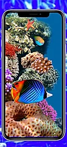 Aquarium Wallpaper 4K