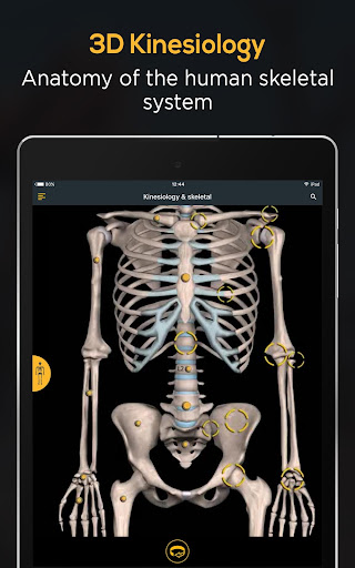 Screenshot of Anatomy by Muscle & Motion