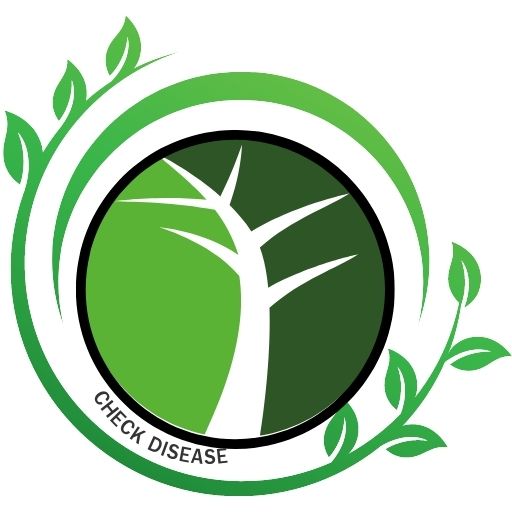 ตรวจสอบโรคใบพืช logo