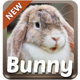 Bunny Theme icon