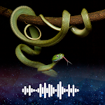 Cover Image of Download Snake sounds Ringtones  APK