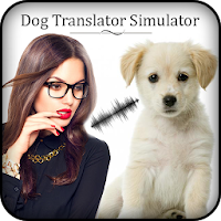 Dog Translator Simulator