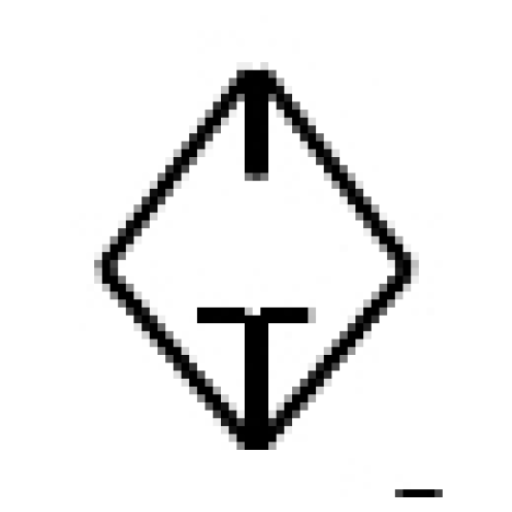 Guarino Guarini logo