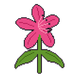 꽃 키우기 icon