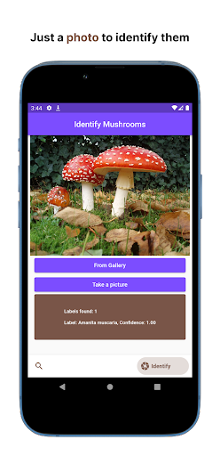 Shroom Identifier Screen 2
