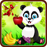 Jungle Panda - Top Free Game icon