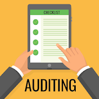 Financial Auditing