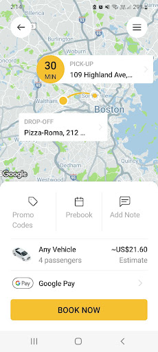 Green & Yellow Cab Somerville Screen 3